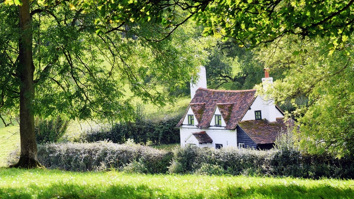 Planting a Wildlife-Friendly Hedge Along Your Boundary